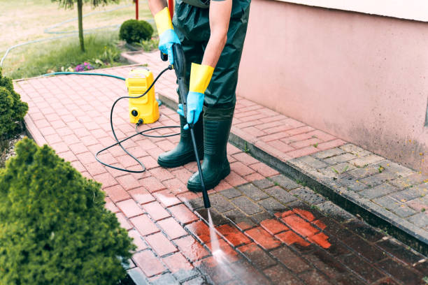 Animal Enclosure Cleaning in Farmersville, TX